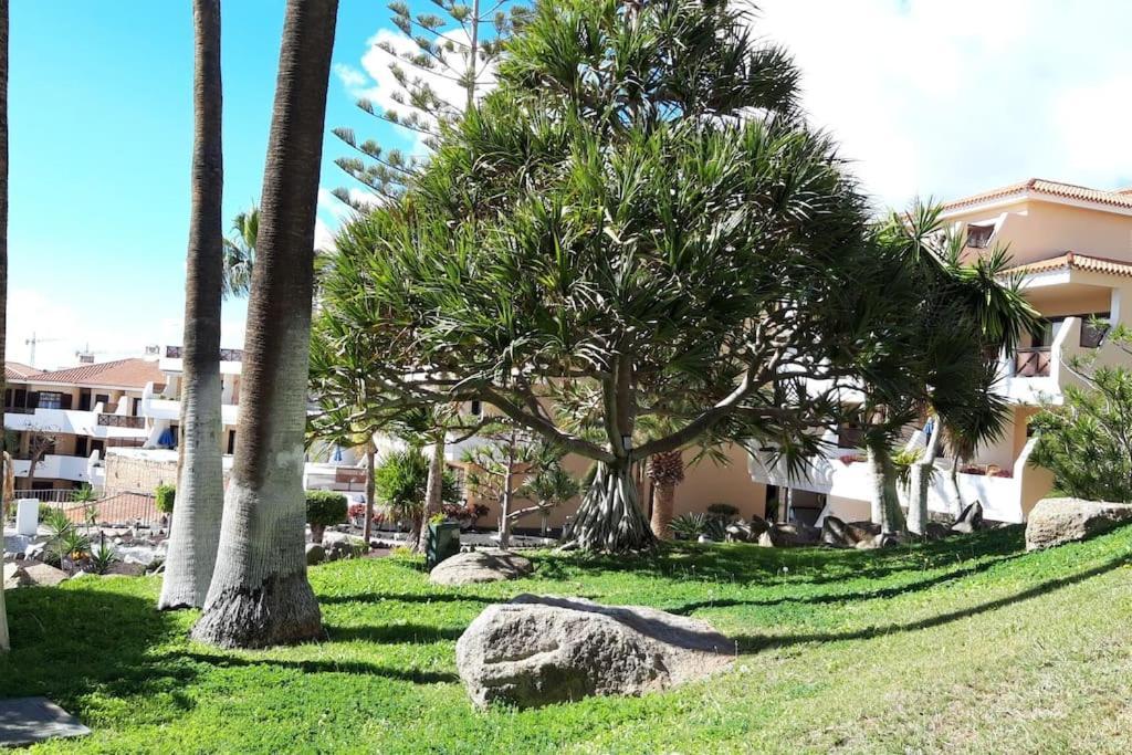 Apartment With Pool And Gardens Near The Coast San Miguel de Abona Exterior photo